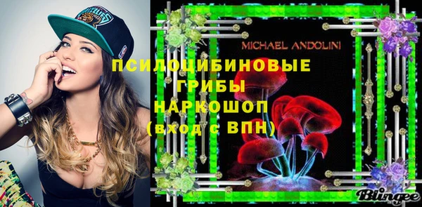 герыч Алексин