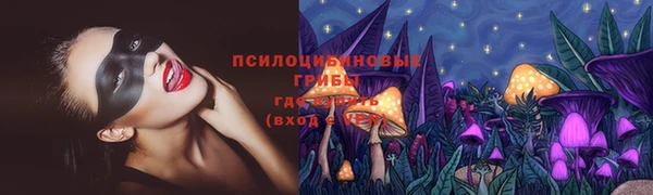 Альфа ПВП Алзамай