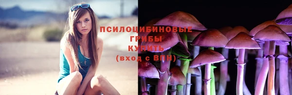 герыч Алексин
