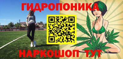 трава Аргун