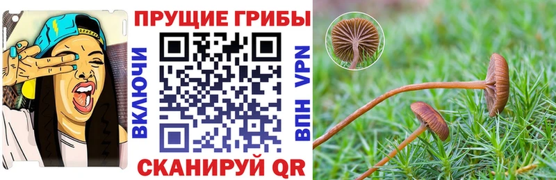 Псилоцибиновые грибы мицелий  Волжский 